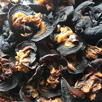 Dehydrated Snail (100 pcs)