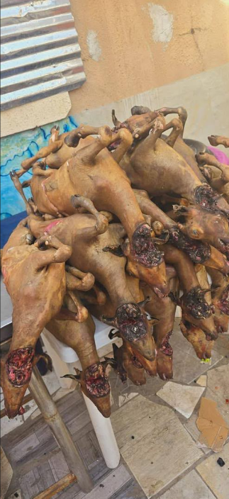 Full Goat Meat (full Goat)