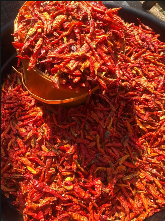 Pint of Chilli Pepper