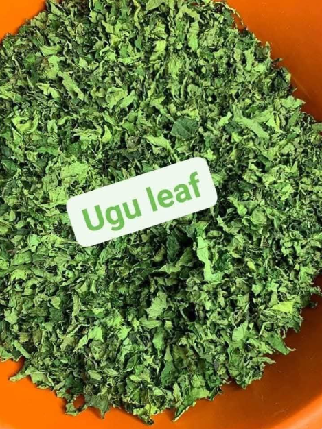 1kg of Ugu leaf
