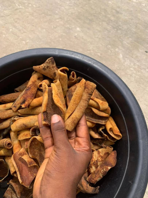 Medium-Size Ijebu Kpomo (50 pcs)