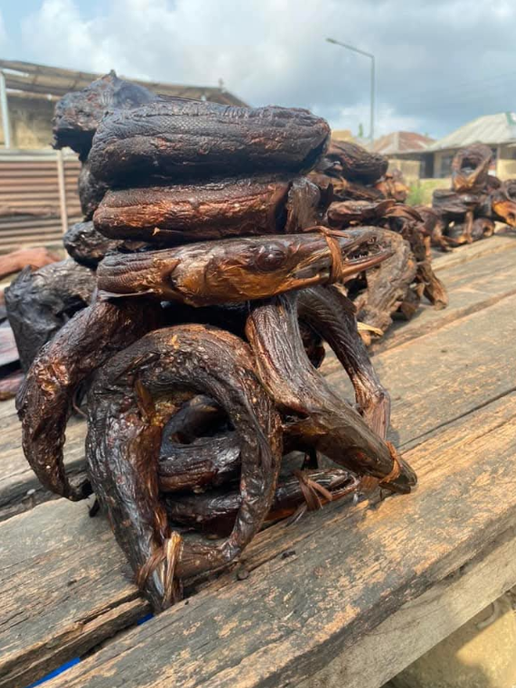 Dried Barracuda fish (10 pcs)