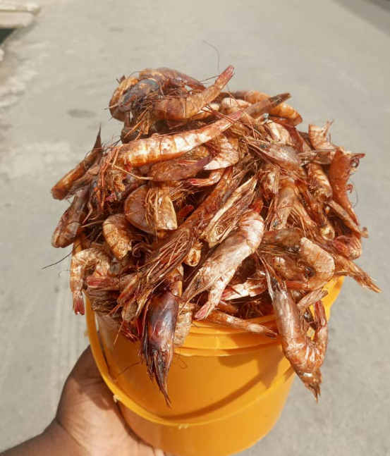 Prawns (600 g)