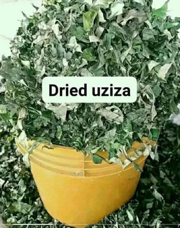 Uziza