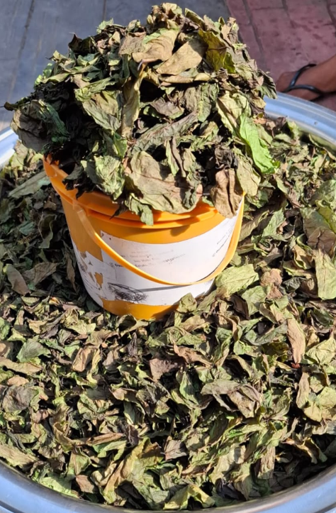 Oha Leaf (200 g)