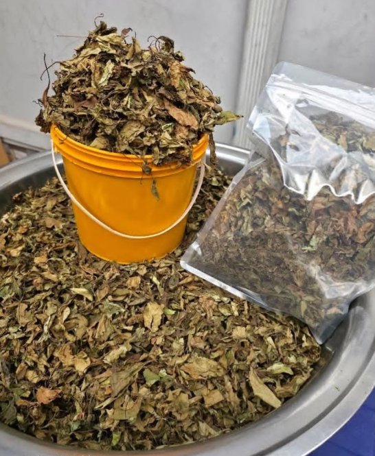 Scent leaf (1 kg)