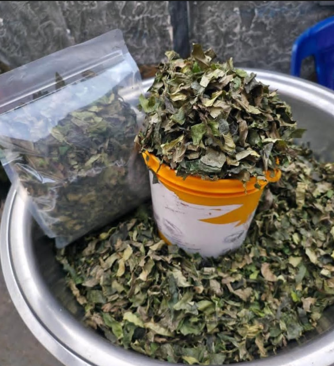Utazi Leaf (1 kg)